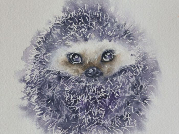 Archisio - Elena Lisa Colombo - Progetto Illustrazioni