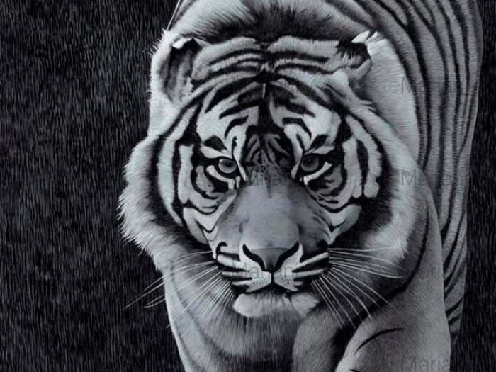 Archisio - Mariani Affreschi - Progetto Mariani affreschi