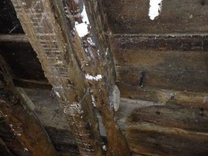 Archisio - Cofra Architettura Design Innovazione - Progetto Ristrutturazione casa