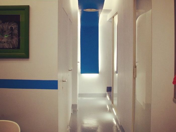 Archisio - Fortunarchitetti - Progetto Ambulatorio veterinario