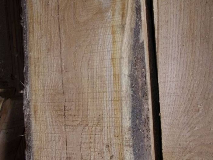 Archisio - Falegnameria Ferruzzi - Progetto Segheria