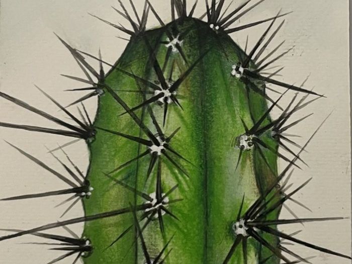 Archisio - Regalarte - Progetto Dipinti su tela e carta