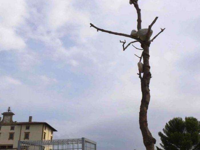 Archisio - Zeno Pucciarchitects - Progetto Mostra prospettiva vegetale giuseppe penone