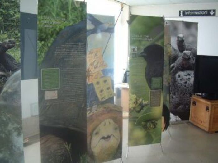 Archisio - Leolab - Progetto Minidarwin