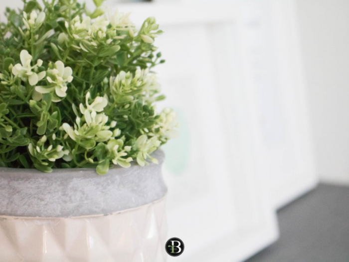 Archisio - Roberta Bossolasco - Progetto Olivia