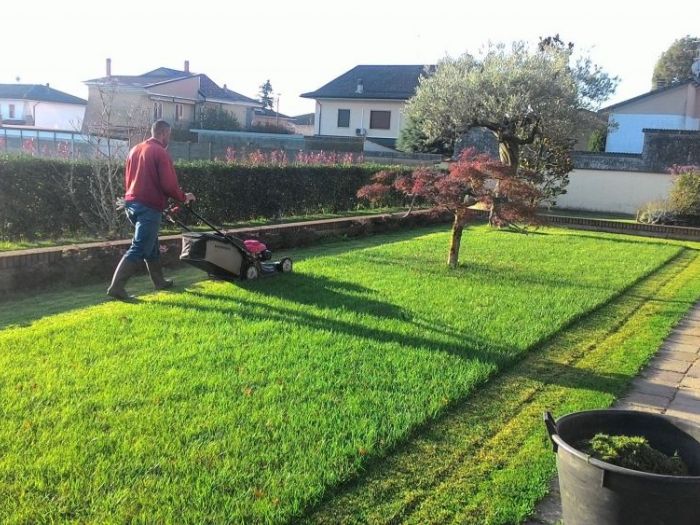 Archisio - Claudio Raiteri Verde Giardino - Progetto Irrigazione rigenerazione pratorigenerazione pratotree climbingisolamento solai