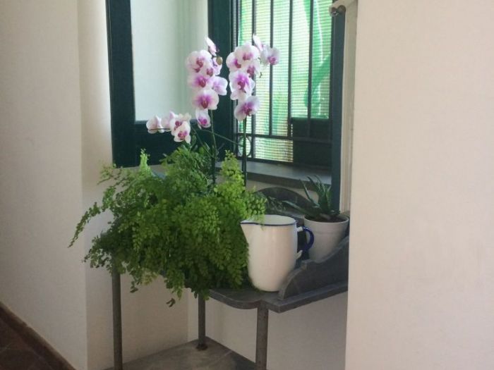 Archisio - Liliana Castaldo - Progetto Bb casablu