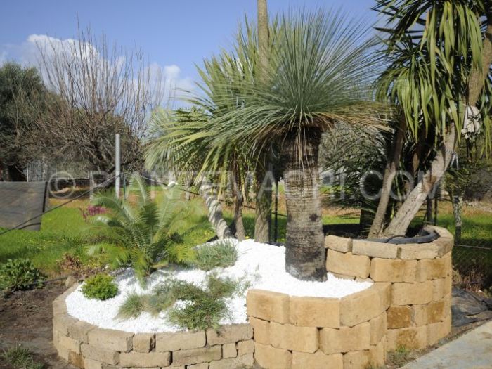 Archisio - Piante Macri - Progetto Il garden