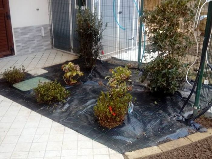 Archisio - I Giardini Dei Tudor - Progetto Manutenzione area verde privato