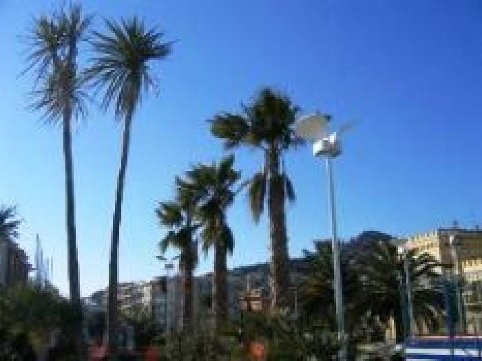 Archisio - Alce srl - Progetto Passeggiata degli artisti ad albissola mare