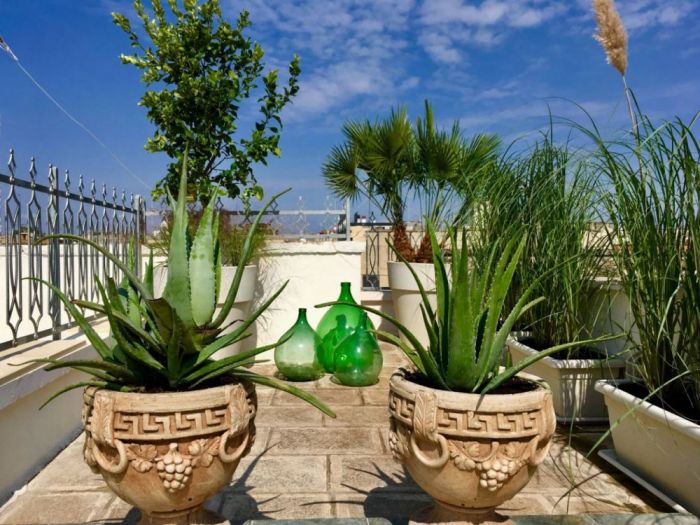 Archisio - Gabriele Fanuli - Progetto Un giardino al terzo piano