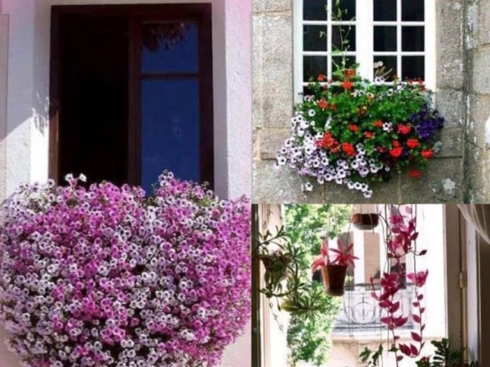 Archisio - Rosy Gioia - Progetto Decorazione interni ed esterni