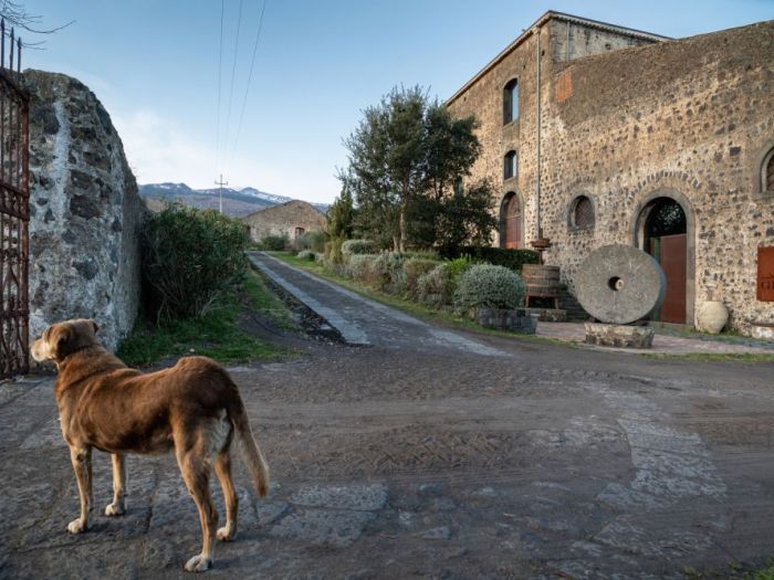 Archisio - Blank - Progetto Cantine graci