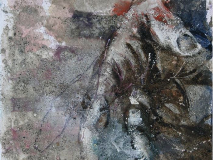 Archisio - Ester Maria Negretti - Progetto ESTER MARIA NEGRETTI