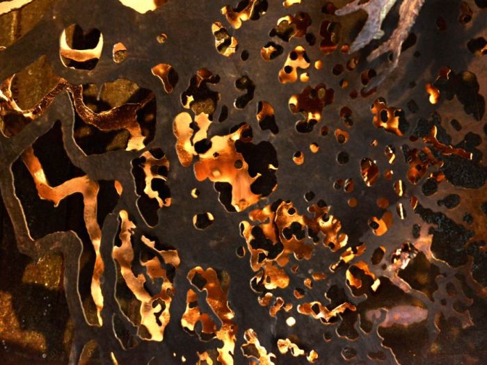 Archisio - Studio Cc - Progetto La libellula