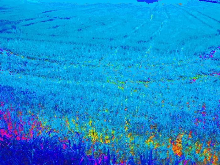 Archisio - Roberto Pellino - Progetto Arte