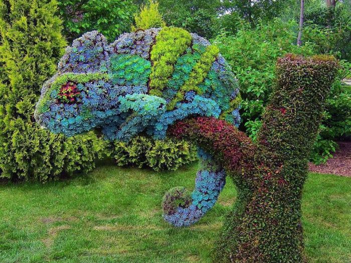 Archisio - Vivai Cantatore - Progetto Piante