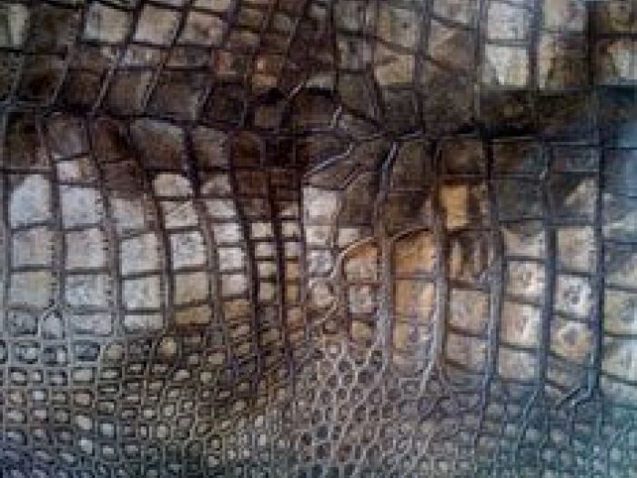 Archisio - Private Rossi Andrea - Progetto Piastre a stampare