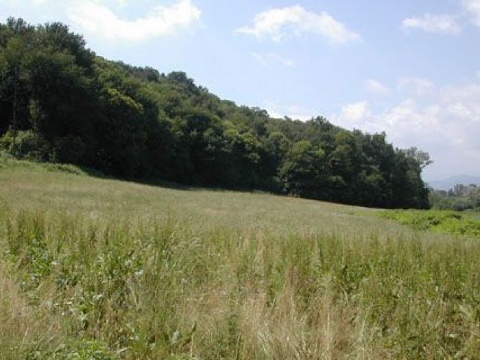 Archisio - Studio Di Agronomia E Architettura Del Paesaggio - Progetto Sistemazione paesaggistica