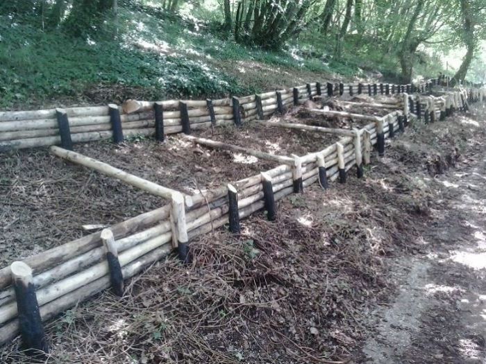 Archisio - Edilizia Ctm srl - Progetto Ingegneria naturalistica