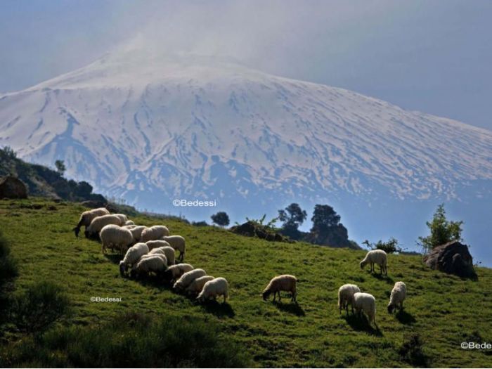 Archisio - Puntofoto Multimedia - Progetto Servizi fotografici