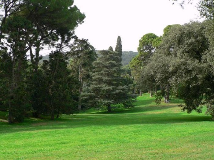 Archisio - Balsamini Gardens Pool Design - Progetto Giardini