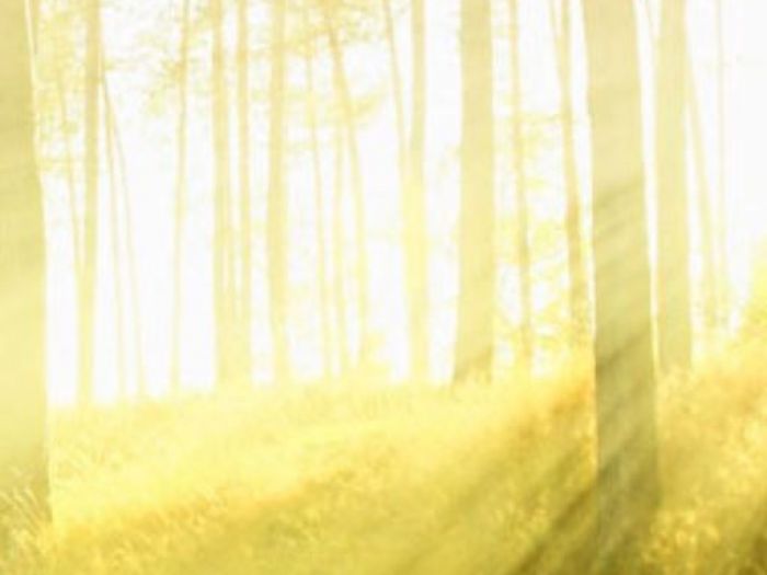 Archisio - Nuova Clima srl - Progetto Energie rinnovabili