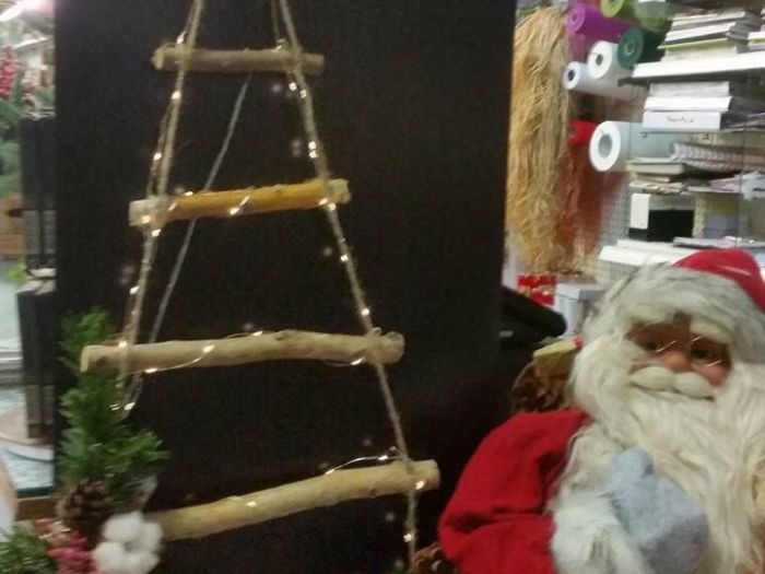 Archisio - Massarroni - Vivai Piante - Garden - Progetto Vivai e piante