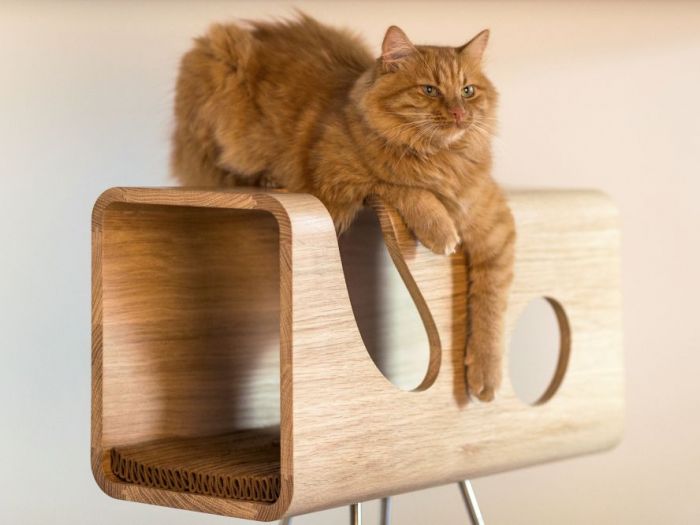 Archisio - Brandodesign - Progetto La cuccia cat60