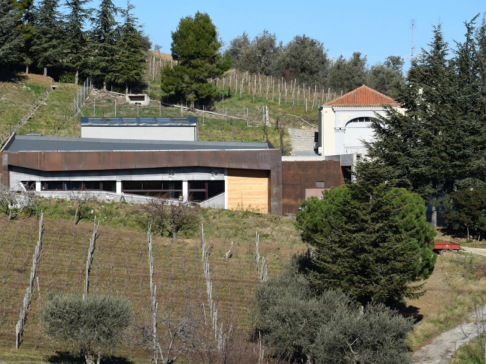 Archisio - Artematica Studio - Progetto Cantina eco-sostenibile