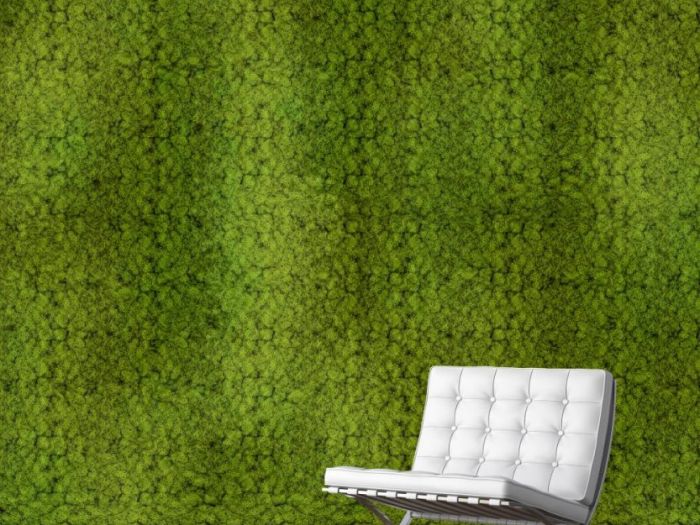 Archisio - Home Hand Made - Progetto Giardini verticali