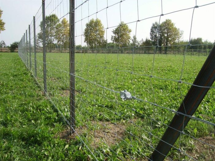 Archisio - Tsr - Progetto Recinzioni civili