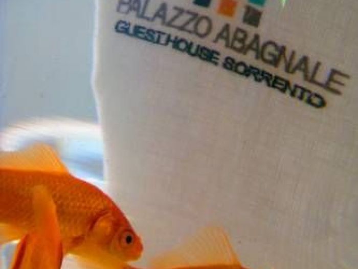 Archisio - Jc Servizi Di Architettura - Progetto Palazzo abagnale