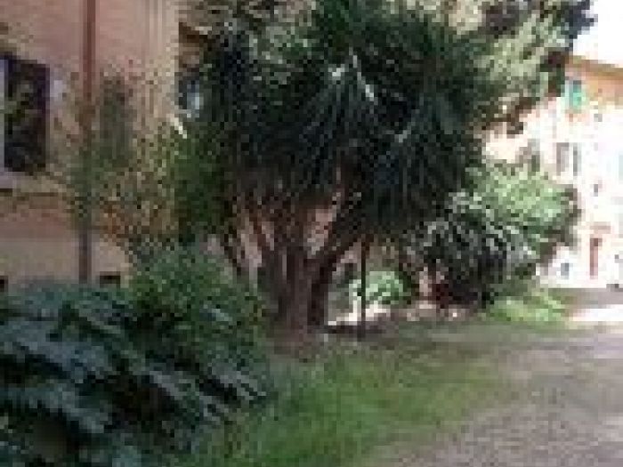 Archisio - Mageris srl - Progetto Pulizie giardini via casilina