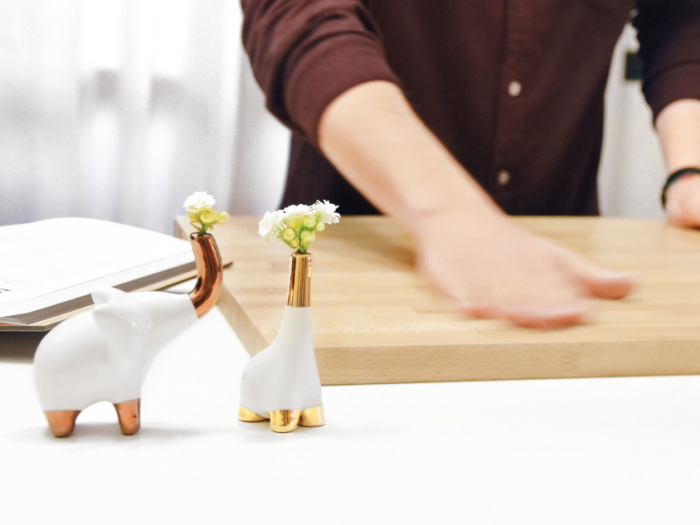 Archisio - Bgp Studio - Progetto Bgp-studio