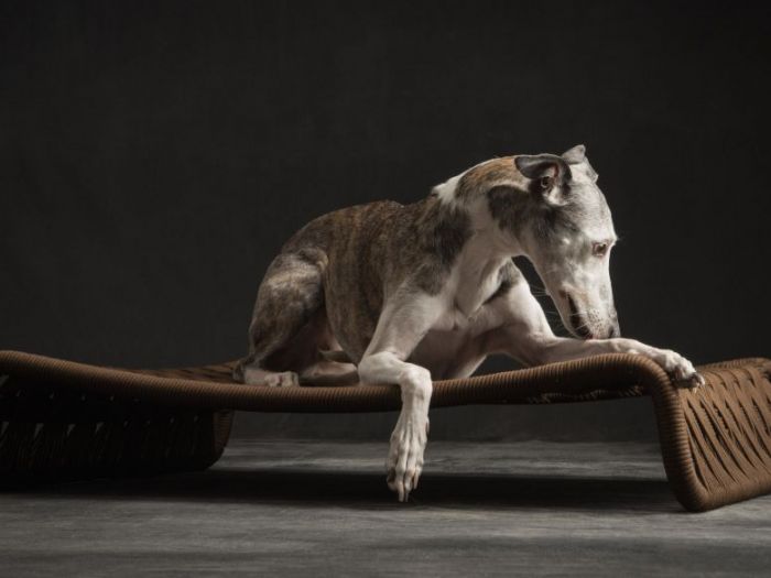 Archisio - Brandodesign - Progetto La cuccia kanak