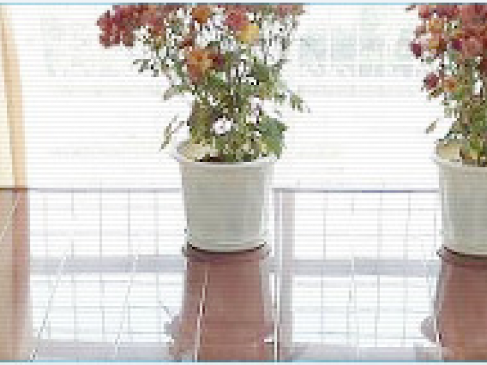 Archisio - La Magica - Progetto Trattamenti