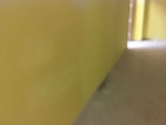 Archisio - Gimmirestauri - Progetto Pitture interne