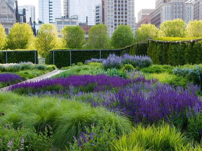 Archisio - Vivai Cantatore - Progetto Piante