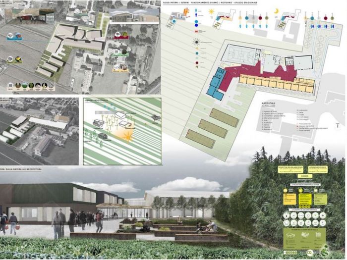 Archisio - Pedone Working - Progetto Scuole innovative - concorso per la realizzazione dellistituto professionale di alanno pe
