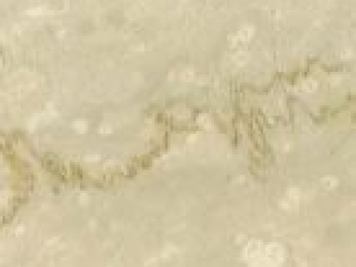 Archisio - Asp Artistica - Progetto Marmo di carrara