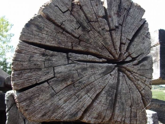 Archisio - Falegnameria Ferruzzi - Progetto Segheria