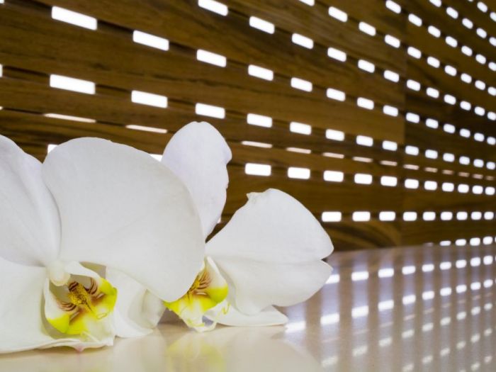 Archisio - Alessandro Boscolo Agostini - Progetto Lavori vari