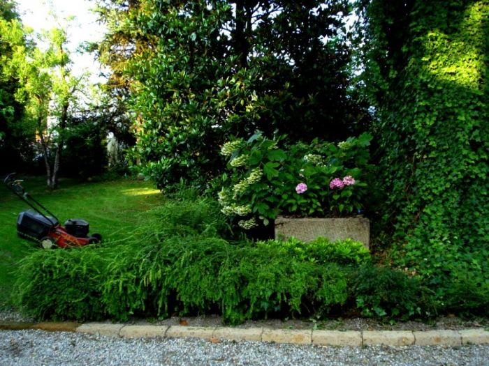 Archisio - Vivai Preti - Progetto Giardino a rami