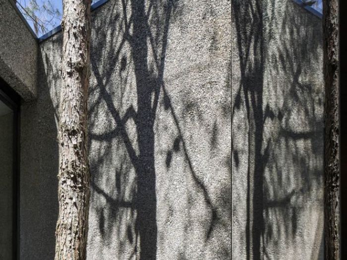 Archisio - Ank Studio - Progetto Interni cf3