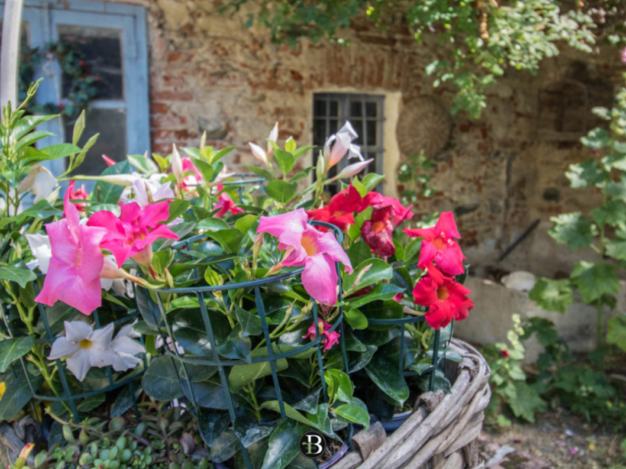 Archisio - Roberta Bossolasco - Progetto Beatrice