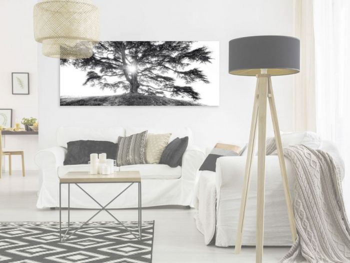 Archisio - Stevephoto Di Stefano Venturini - Progetto Arredo locali living