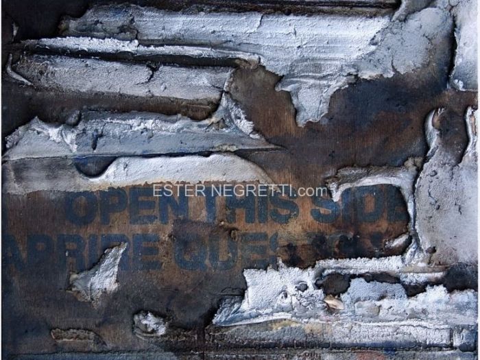 Archisio - Ester Maria Negretti - Progetto ESTER MARIA NEGRETTI