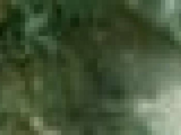 Archisio - Payanini The Stone Brand - Progetto Payanini