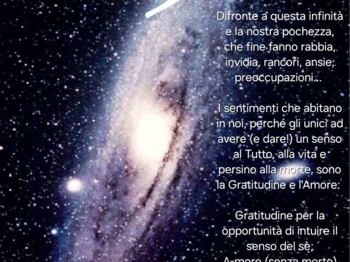 Archisio - Simone Scardigli - Progetto Grafiche natale